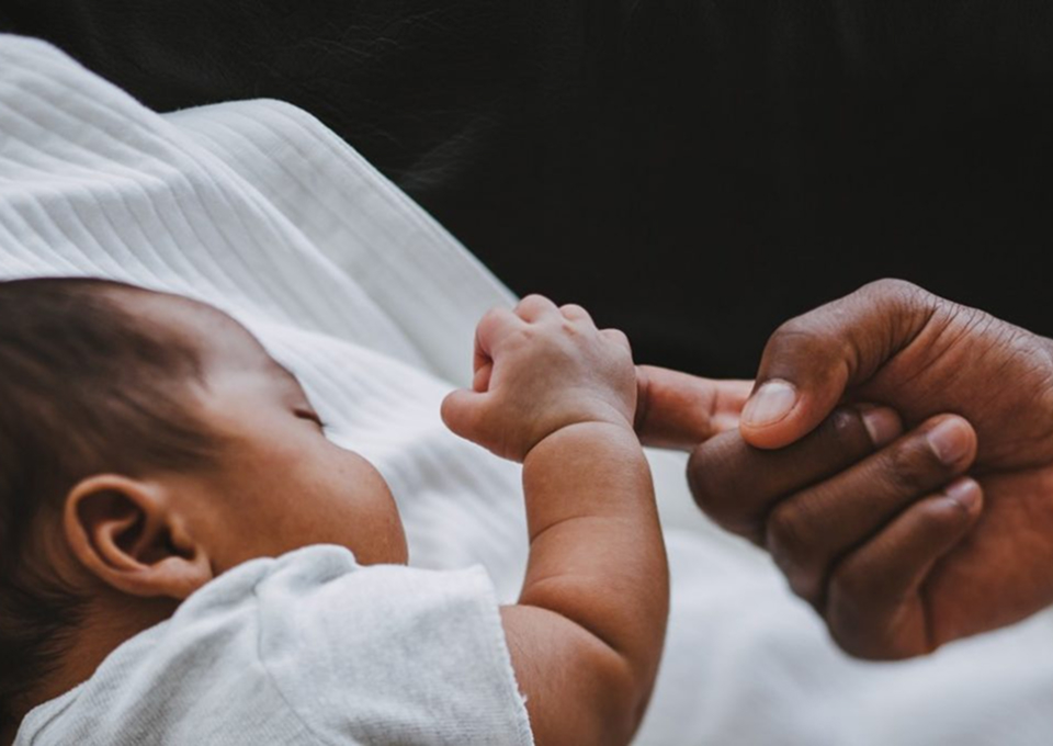 The Fatherhood Empowerment Project