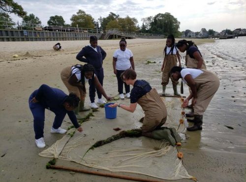 seining